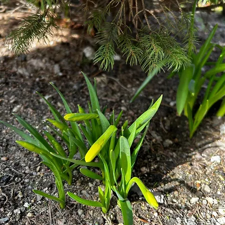 Pod Bukami - Chill&spa Affittacamere 3*