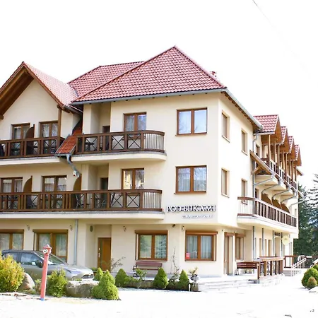Pod Bukami - Chill&spa Pensjonat 3*